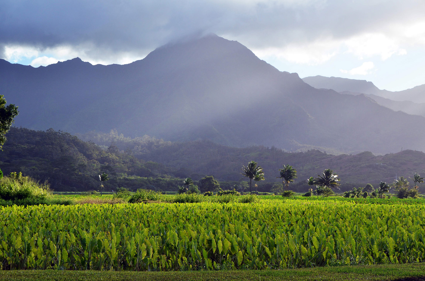 Hanalei-Valley-Kauai